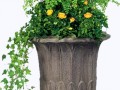 klipartz.com (3)