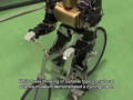 Amazing Bike Riding Robot! Can Cycle, Balance, Steer, and Correct Itself. #DigInfo