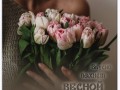 -имени-1_01
