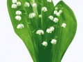 _yapfiles.ru (8)