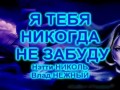 Я ТЕБЯ НИКОГДА НЕ ЗАБУДУ - Нэтти Николь, Влад НЕЖНЫЙ