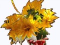 0_16d60e_f1c76469_orig2плеер