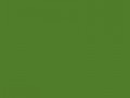 Кленовый зеленый	#507D2A	80	125	42