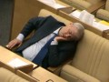 Сон в госдуме