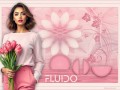 23.04.2025 Fluido2