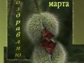 8 марта