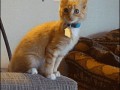 gifs_07
