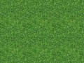 Трава 3