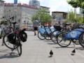 Bundesfahrrad in Frankfurt am Main