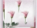 _1_arnusha