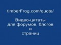 Птичку жалко!