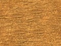 Sand_Roug