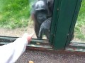 Я тебе на пальцах объясняю