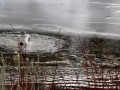 А кто будет спасать "спасателей"?