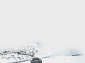 Fungif_21