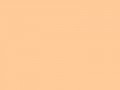 Оранжево-персиковый	#FFCC99	255	204	153