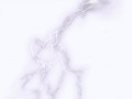 0_763e9_242984b0_orig1