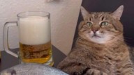 Котэ