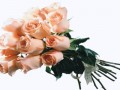 0_c0ed4_4ca968a_XL