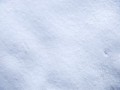 snow_texture1556