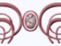 82