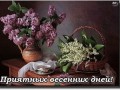 Приятных весенних дней!