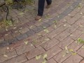 Песня о Путине