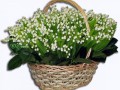 Корзина с ландышами