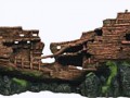 828_korabl_555