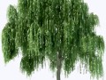 0_d7be5_c587c92b_XL