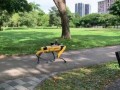 Boston Dynamics Syngapore