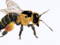 158247228_896996324