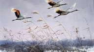 Wang Keda