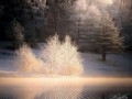 -КРАСАВИЦА_01