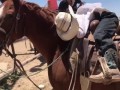 Real Life Rocking Horse Rocks Little Cowboy to Sleep