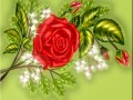 -ЖИЗНЬ-КАК-РОЗА_01