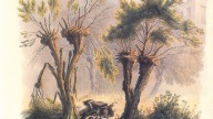 7.Смоленск, на правом берегу Днепра, 19 августа 1812 г. (Уби?