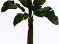 p-60950a