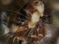 -ВДРУГ-РАЗБИЛАСЬ-ДУША_01