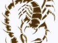 scorpion