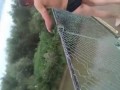 Прыгнул в воду - лопнули трусы