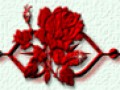 1_arnusha