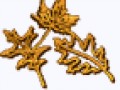 1_3_arnusha