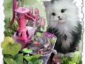 1каиена