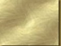124625725