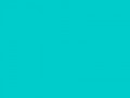 Цвет яйца дрозда	#00CCCC	0	204	204