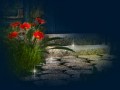 _1_arnusha