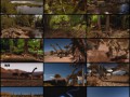 When.Dinosaurs.Roamed.America.HDTVRip.TtRG
