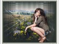Wildflowers - 1