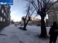Дерево спасло жизнь